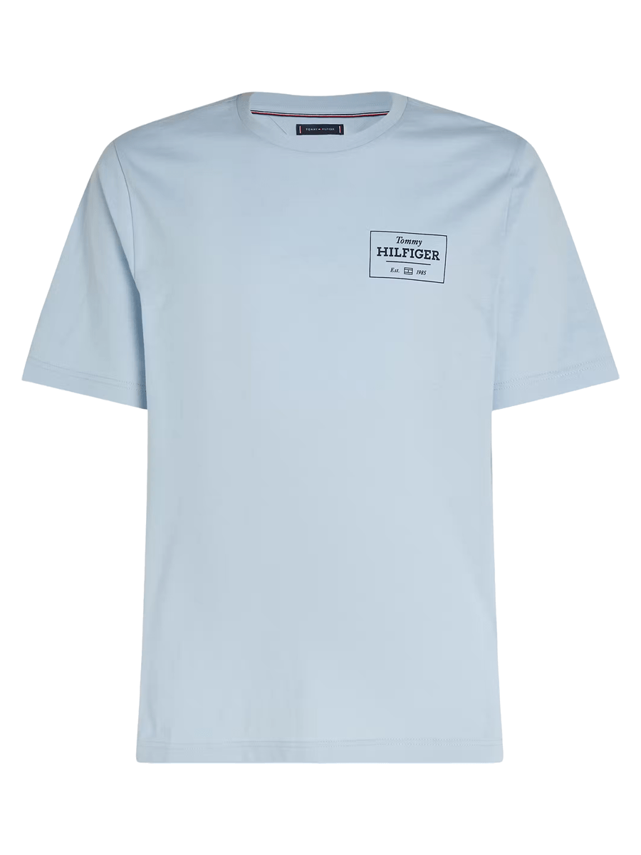 Tommy Hilfiger T-shirts / Polo mw0mw37454-c10_2XL - Bygholm Menswear